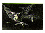13 Modo de volar